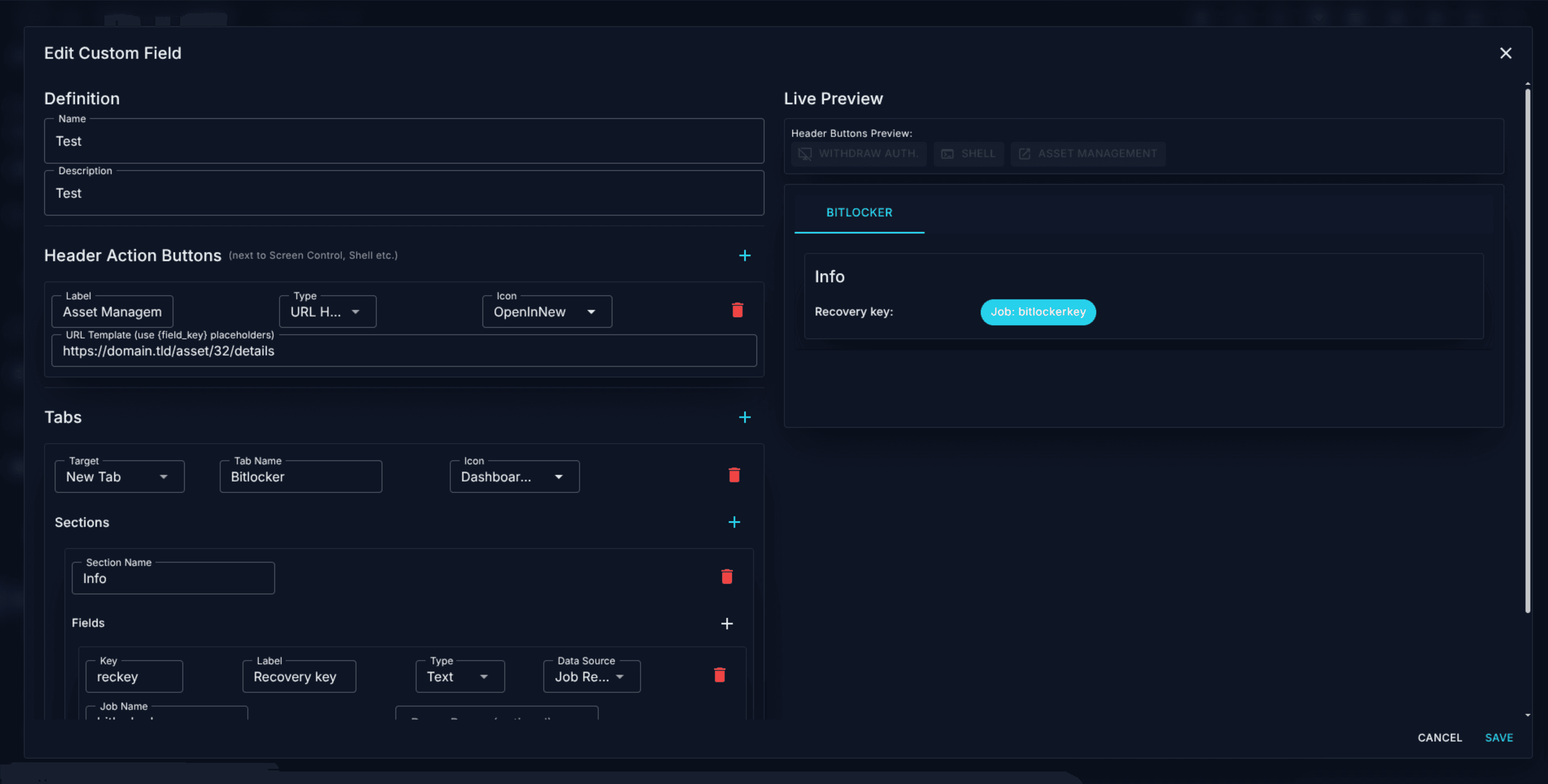 Custom Field Builder with left panel, tab list, and section editor