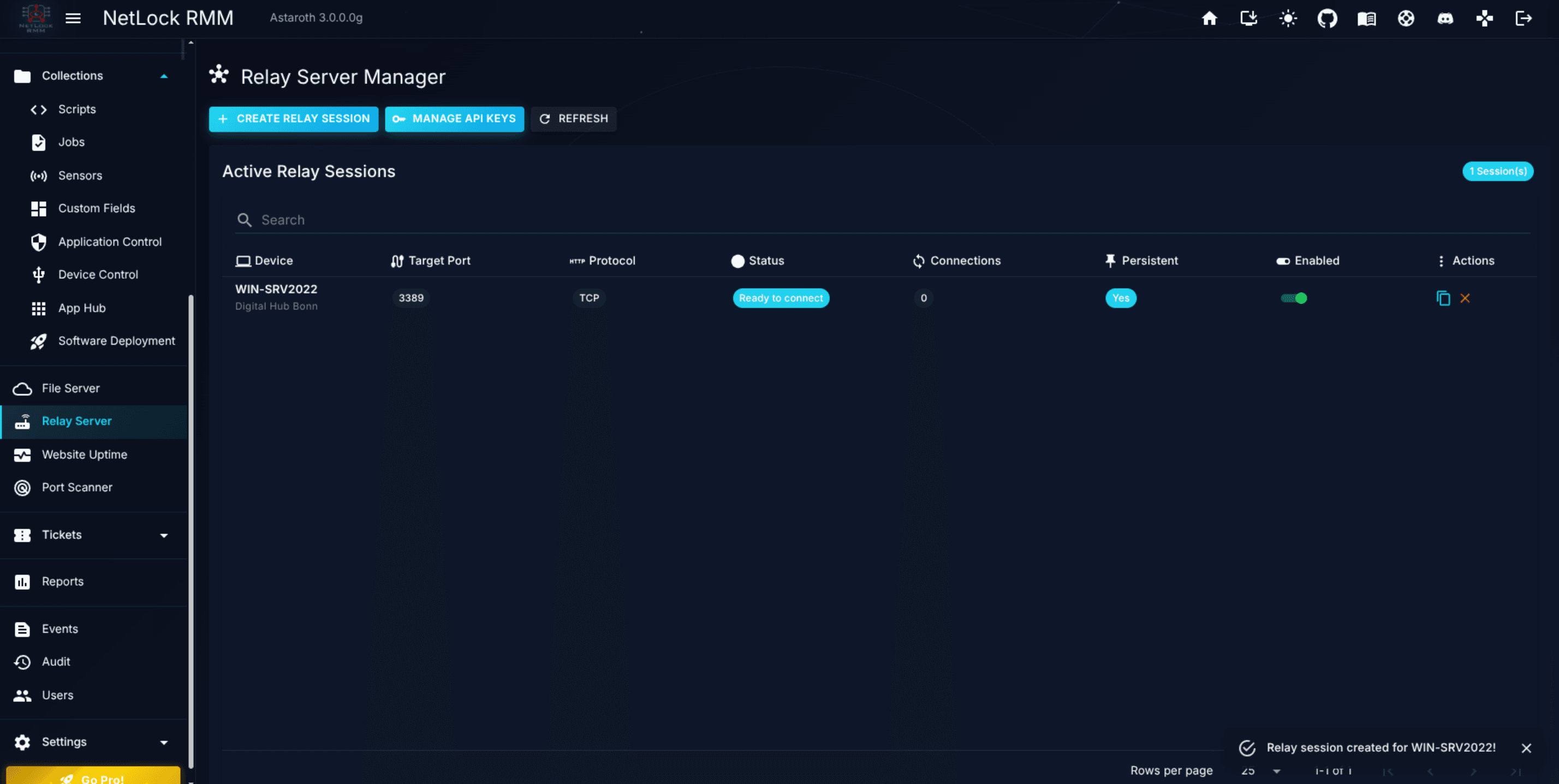 Relay Server page with an active session and a temporary session listed